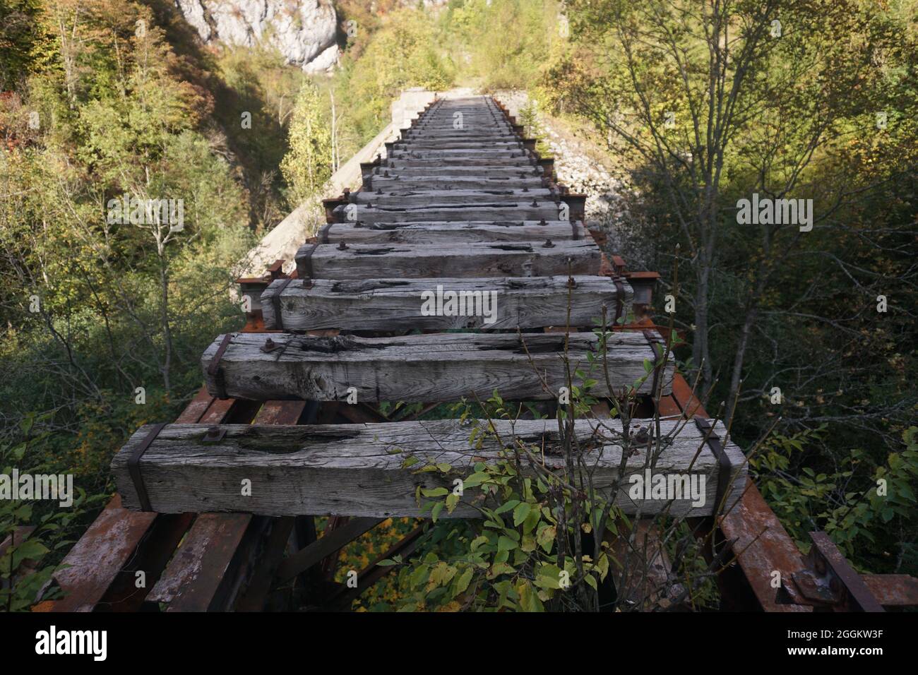 Binari in legno sul sentiero Ciro da Sarajevo a pale, Bosnia 2020 Foto Stock