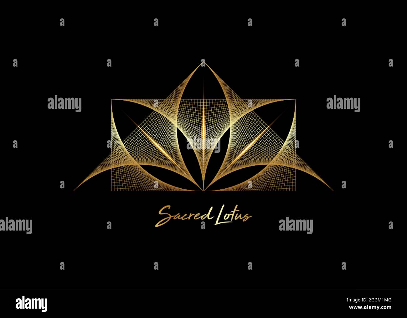 Oro struttura geometrica a reticolo Sacro fiore di loto, thread art. Geometria Sacra. Corda linea d'oro simbolo di armonia e bilanciamento. Segno di purezza. Fiore Illustrazione Vettoriale