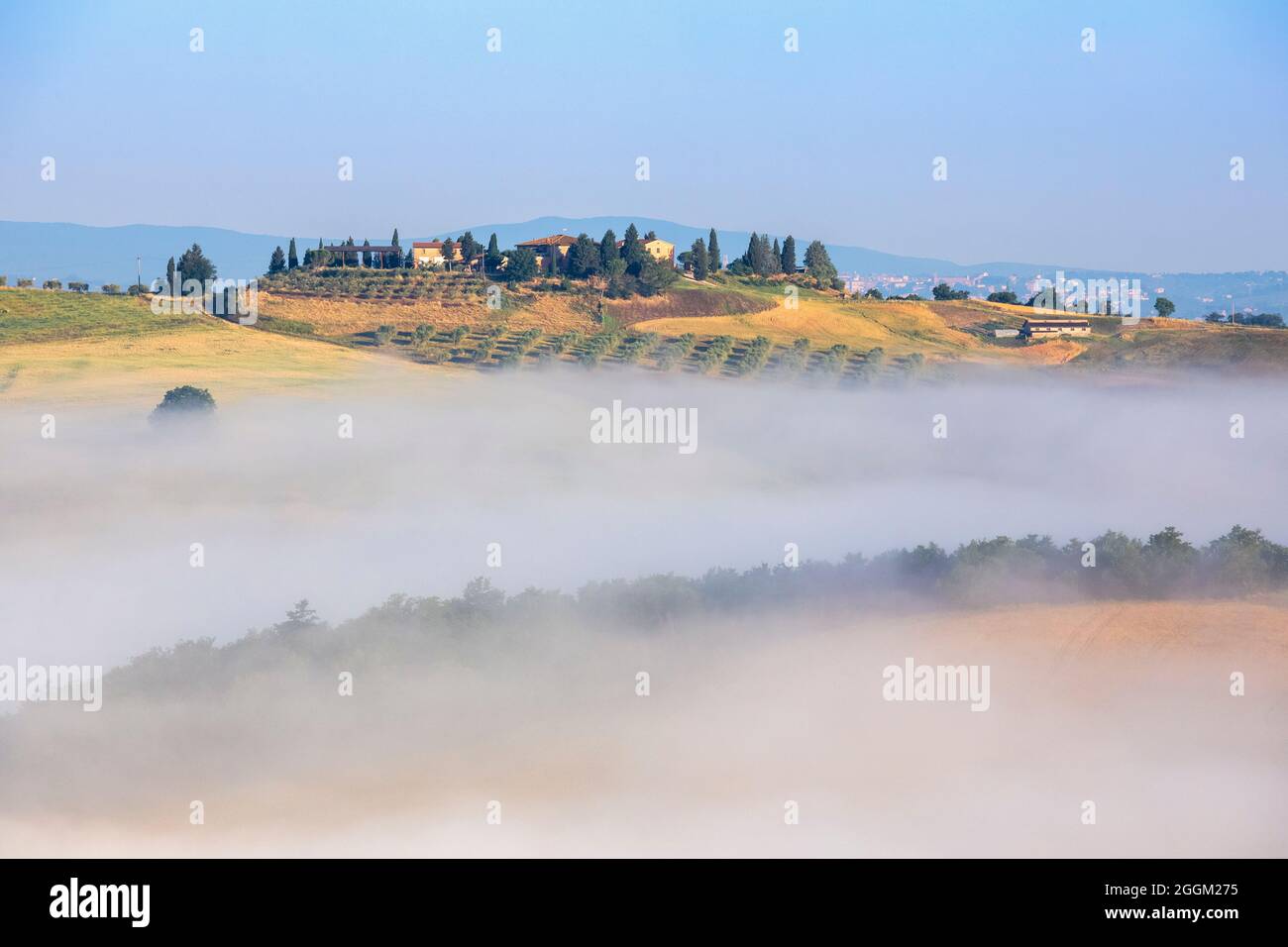 Paesaggio tipico toscano, mattina con nebbia nelle valli e colline ondulate delle Crete Senesi, asciano, provincia di siena, toscana, italia Foto Stock