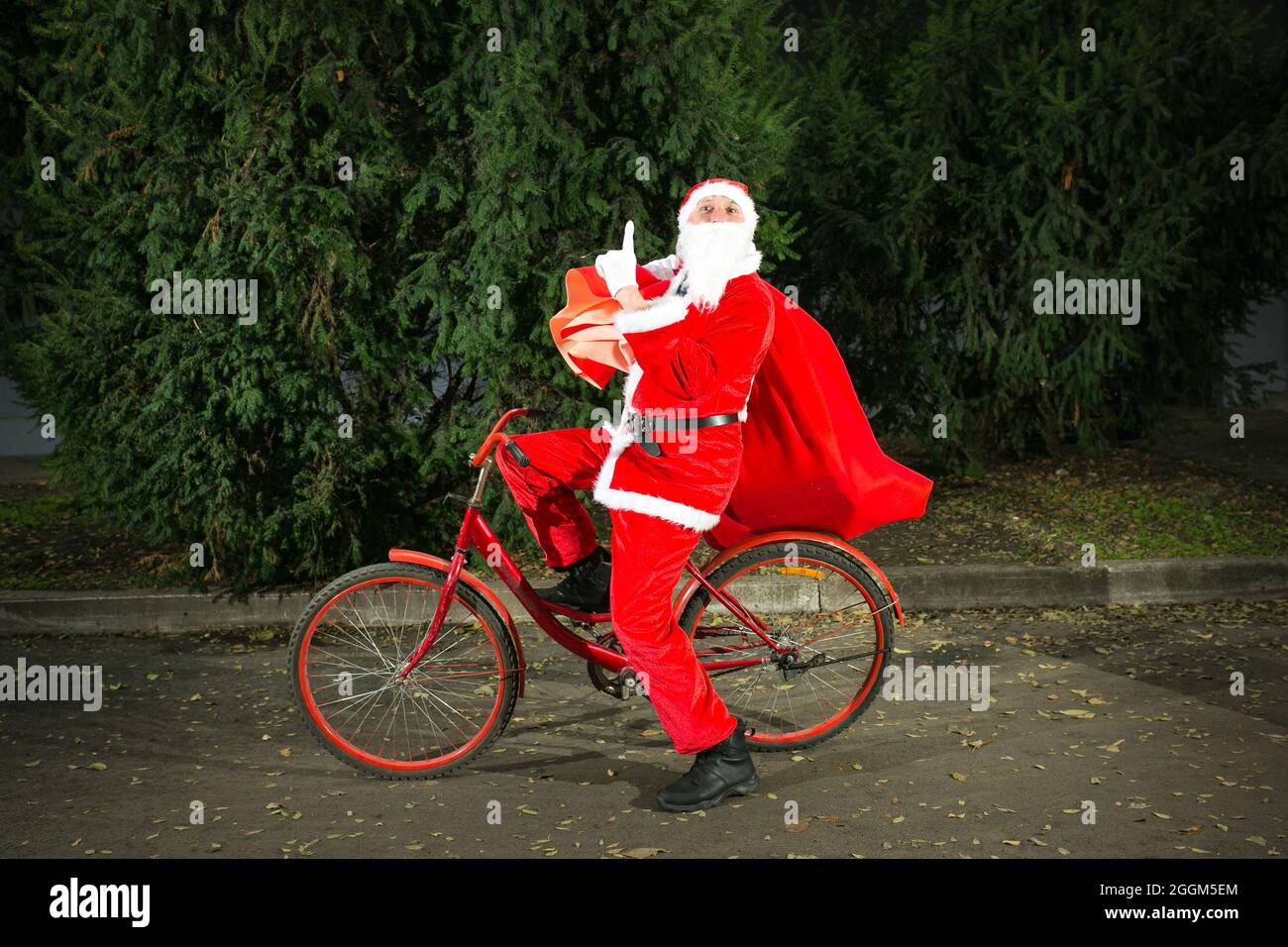 Babbo Natale corre una bicicletta e porta una grande borsa di regali. Primo piano sullo sfondo di alberi di conifere. Foto Stock