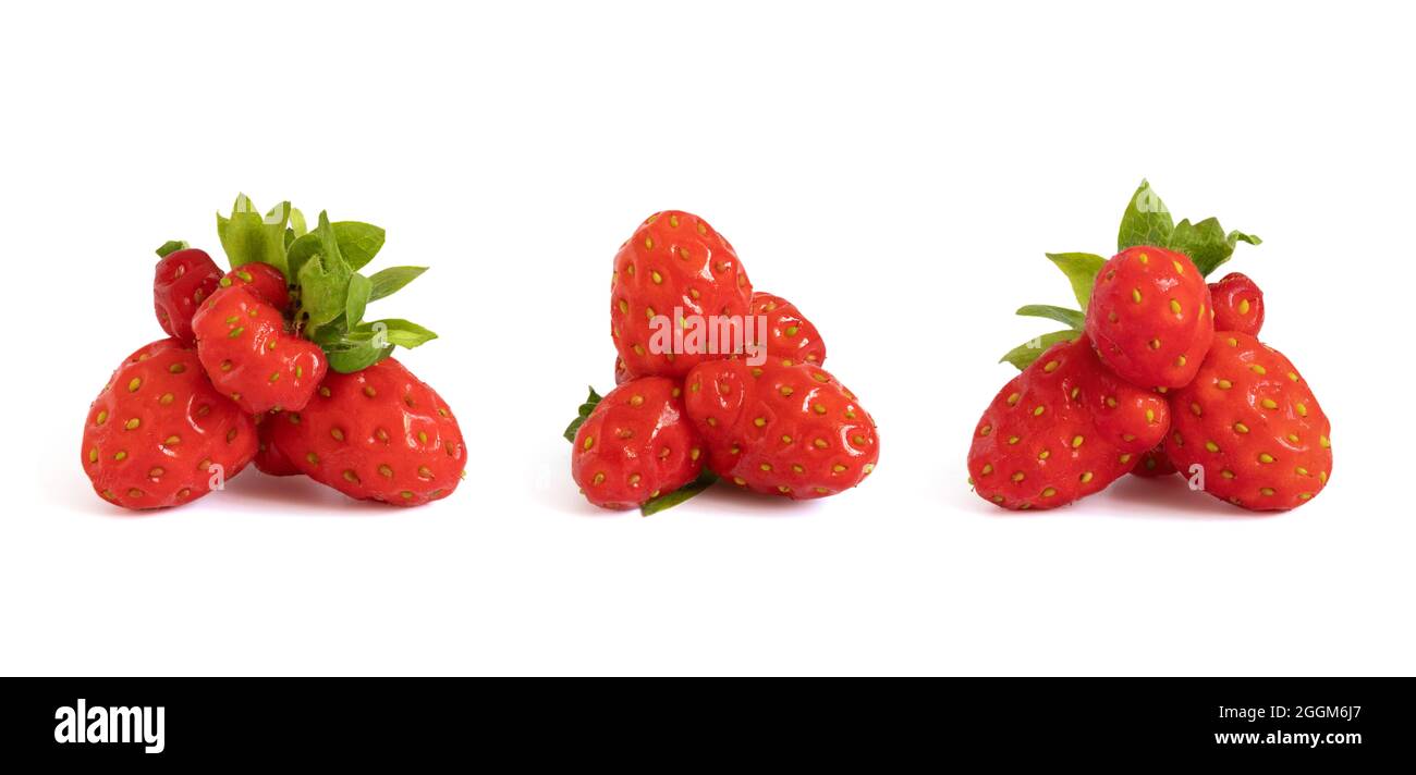 Insieme di fragole brutte isolate su sfondo bianco. Brutto concetto di cibo. Bacche divertenti. Foto Stock