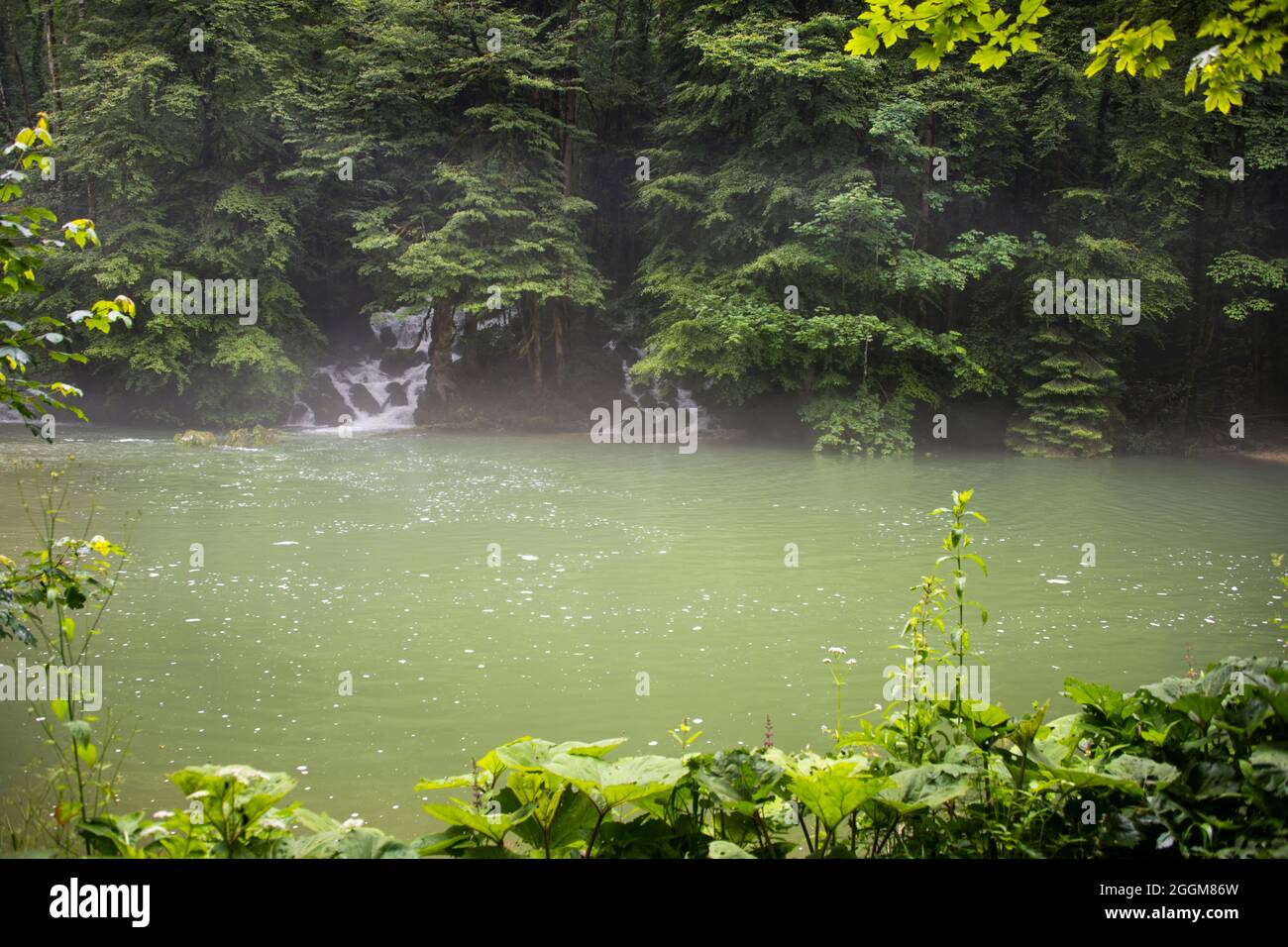 Gorges du Pichoux, nella valle di 1000 sorgenti Foto Stock