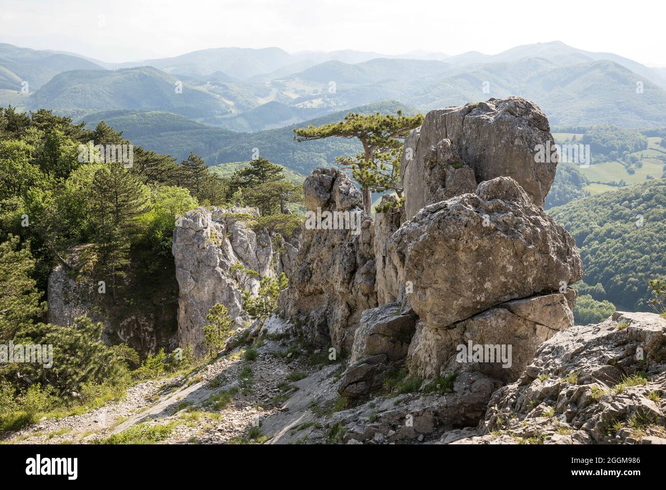 Vista da Peilstein a sud-ovest, zona escursionistica e arrampicata, boschi di Vienna, bassa Austria, Austria Foto Stock