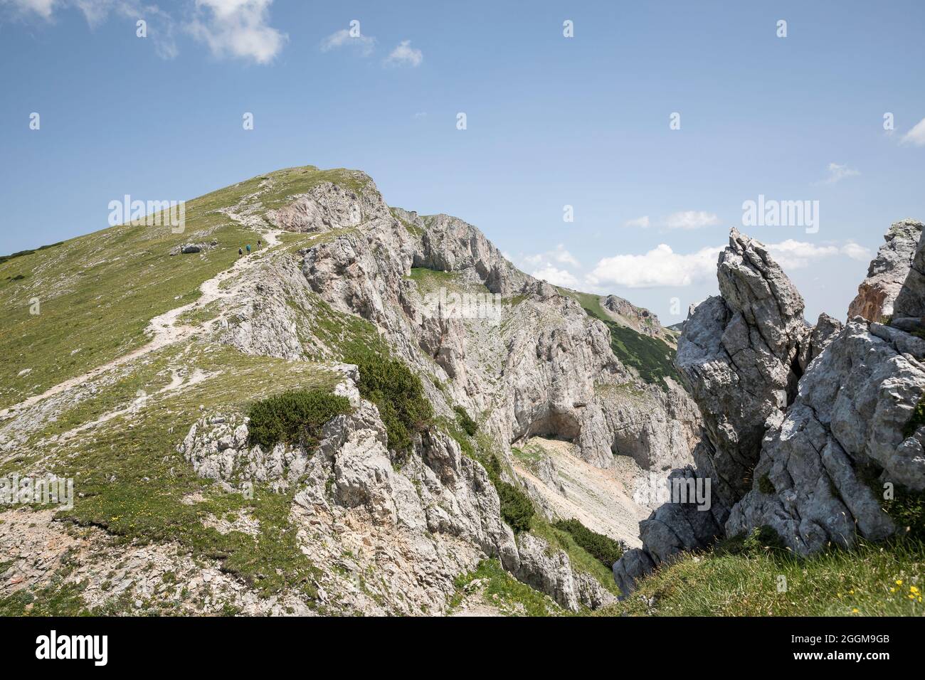 Escursionisti in montagna sulla salita rivolta a sud fino al Predigtstuhl (1902 m) sul Rax, Stiria, Austria Foto Stock