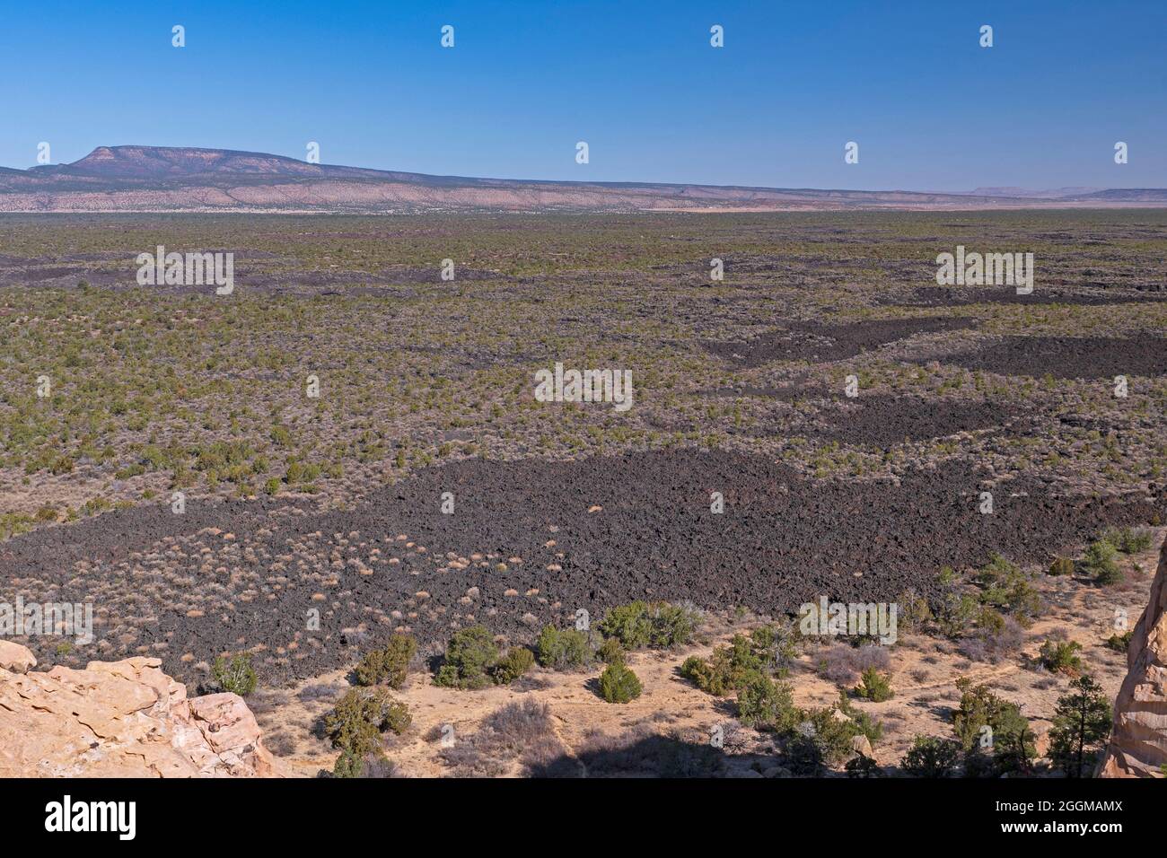 Pianura lavica nel deserto al Monumento Nazionale di El Malpais nel New Mexico Foto Stock