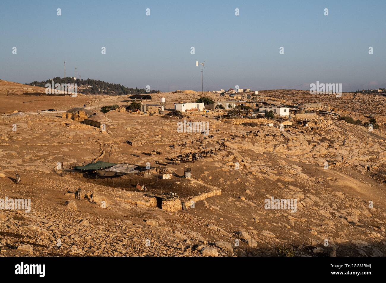 Dal 2004 i bambini del villaggio di Tuba stanno andando a scuola nel vicino villaggio di AT-Tuwani, 2.6 km di distanza - mentre sono stati condotti da un attivista ebraico e un veicolo delle forze di difesa israeliane per proteggerli dagli attacchi violenti da parte dei coloni ebrei religiosi dall'avamposto illegale di Maon Farm, che si trova sul loro cammino verso la scuola. Palestina / Israele, a sud di Hebron. 31 agosto 2021. (Foto di Matan Golan/Alamy Live News) Foto Stock