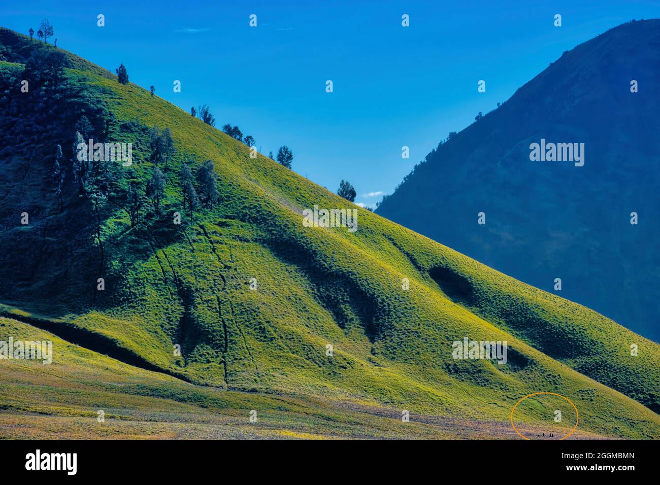 Una delle cose migliori di Teletubbies Savanna è che si trova vicino al Monte bromo. Infatti, risiede nella parte orientale del bromo Crate Foto Stock