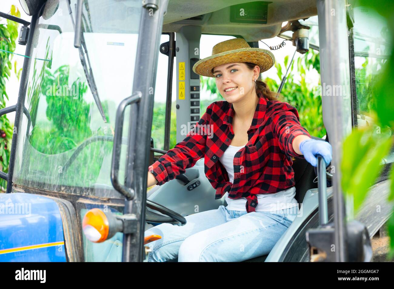 Allegro giovane agricoltore donna che lavora su un piccolo trattore in frutteto Foto Stock