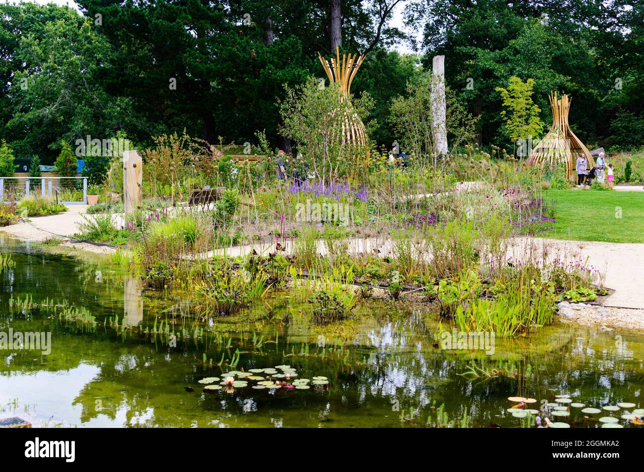 Wildlife Garden RHS Wisley, Foto Stock