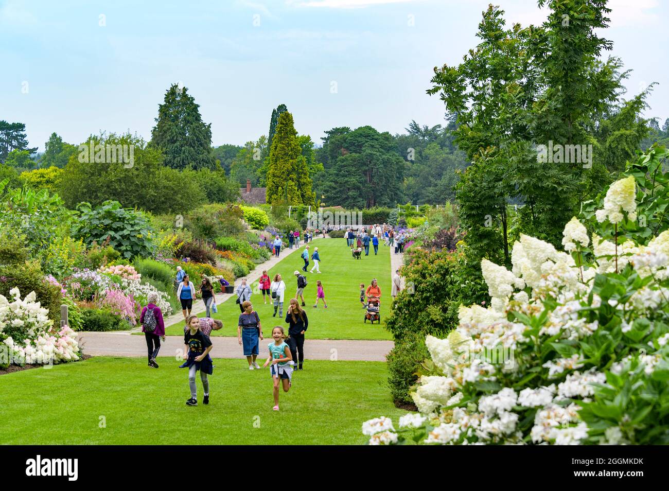 Confini misti RHS Wisley. Foto Stock