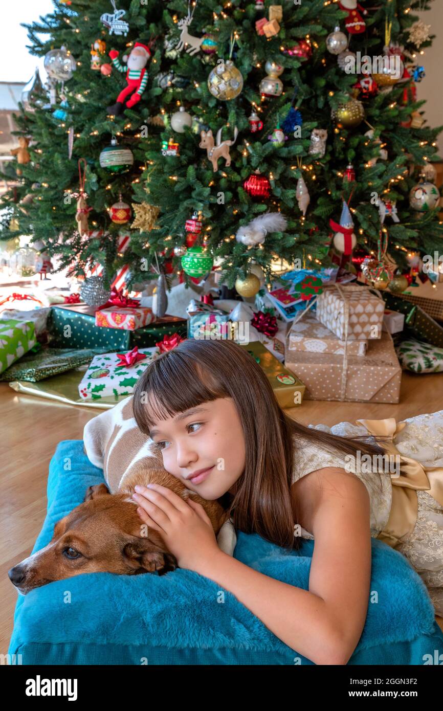 Ragazza di otto anni che posa con il suo cane di fronte all'albero di Natale Foto Stock