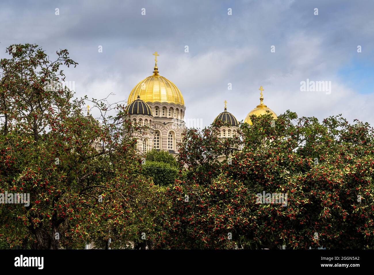 Riga, Lettonia. 2021 agosto. Le cupole della Natività di riga di Cristo Cattedrale Ortodossa tra gli alberi di un parco nel centro della città Foto Stock