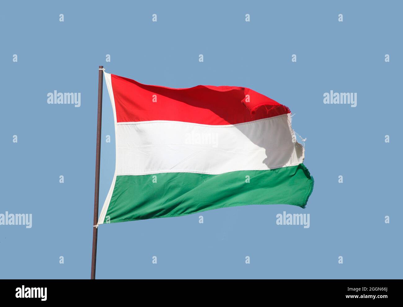 Bandiera bulgara che vola su flagpole su sfondo blu cielo Foto Stock