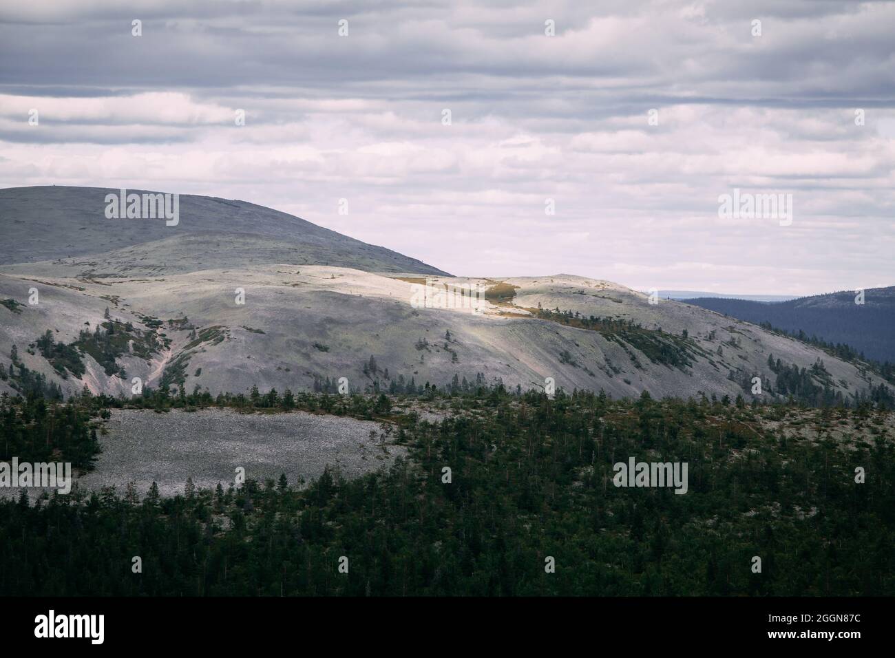 Paesaggio tranquillo nelle montagne della Lapponia, con macchie di luce solare su un caduto e le nuvole nel cielo. Foto Stock