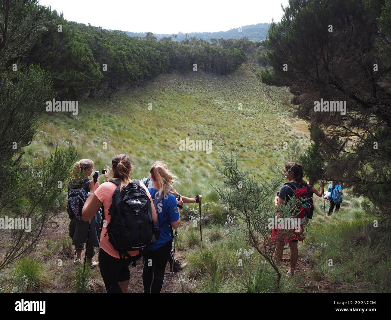 MONTE KILIMANJARO, TANZANIA - 21 settembre 2016: I turisti che si arrampicano sul Monte Kilimanjaro in Tanzania con guide turistiche locali. Foto di viaggio di persone che escursionano Kiliman Foto Stock