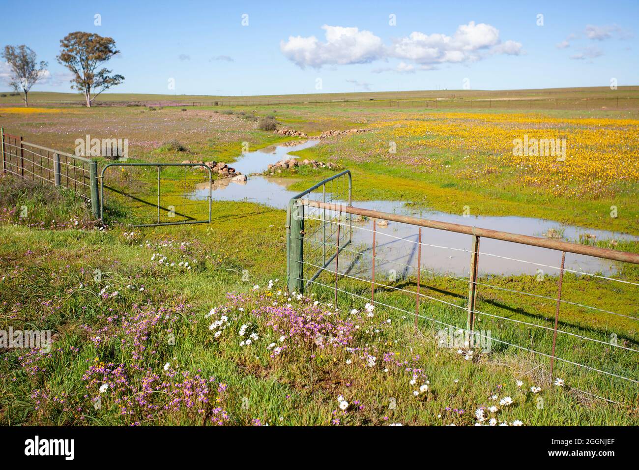 Piccolo torrente Hantam National Botanical Gardens Foto Stock