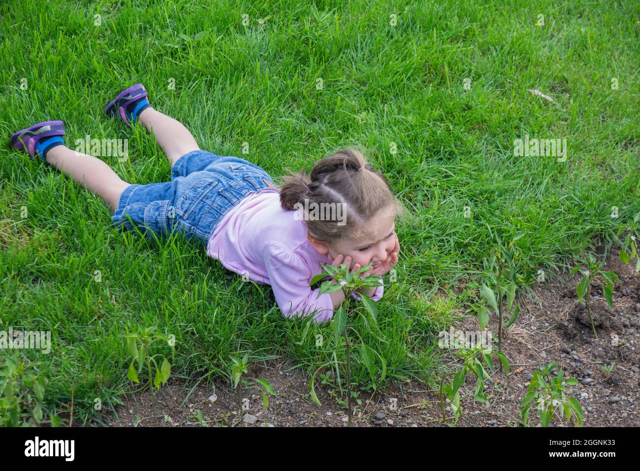 la bambina si trova sull'erba. Fuoco selettivo. Isolato. Spazio di copia Foto Stock