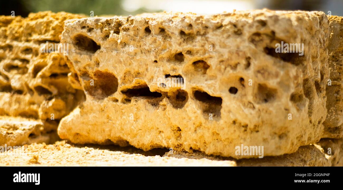 La struttura porosa di mattoni di roccia di guscio. Primo piano. Texture. Materiale da costruzione naturale. Foto Stock