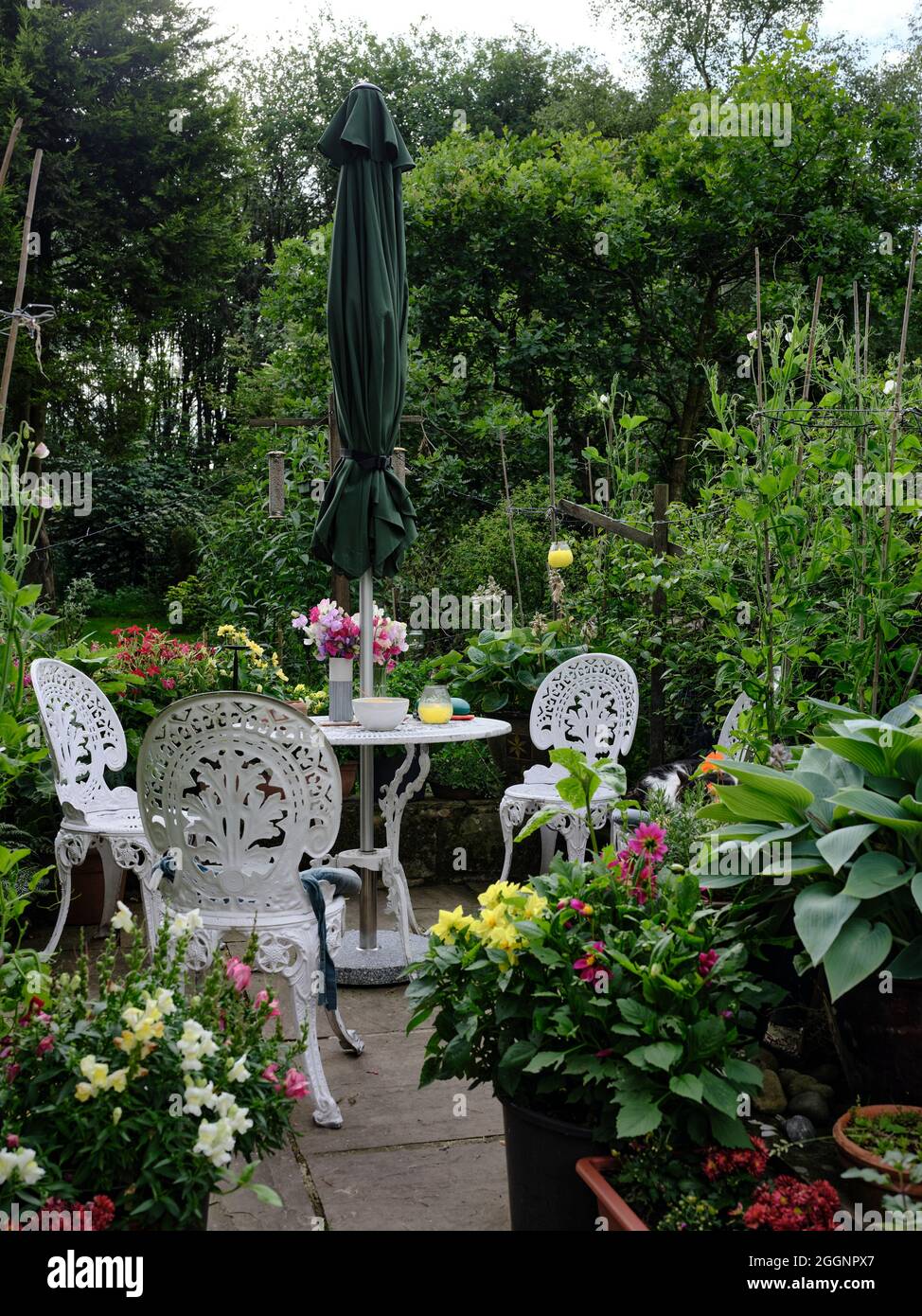 Nel tardo pomeriggio con mobili da giardino circondati da fiori Foto Stock