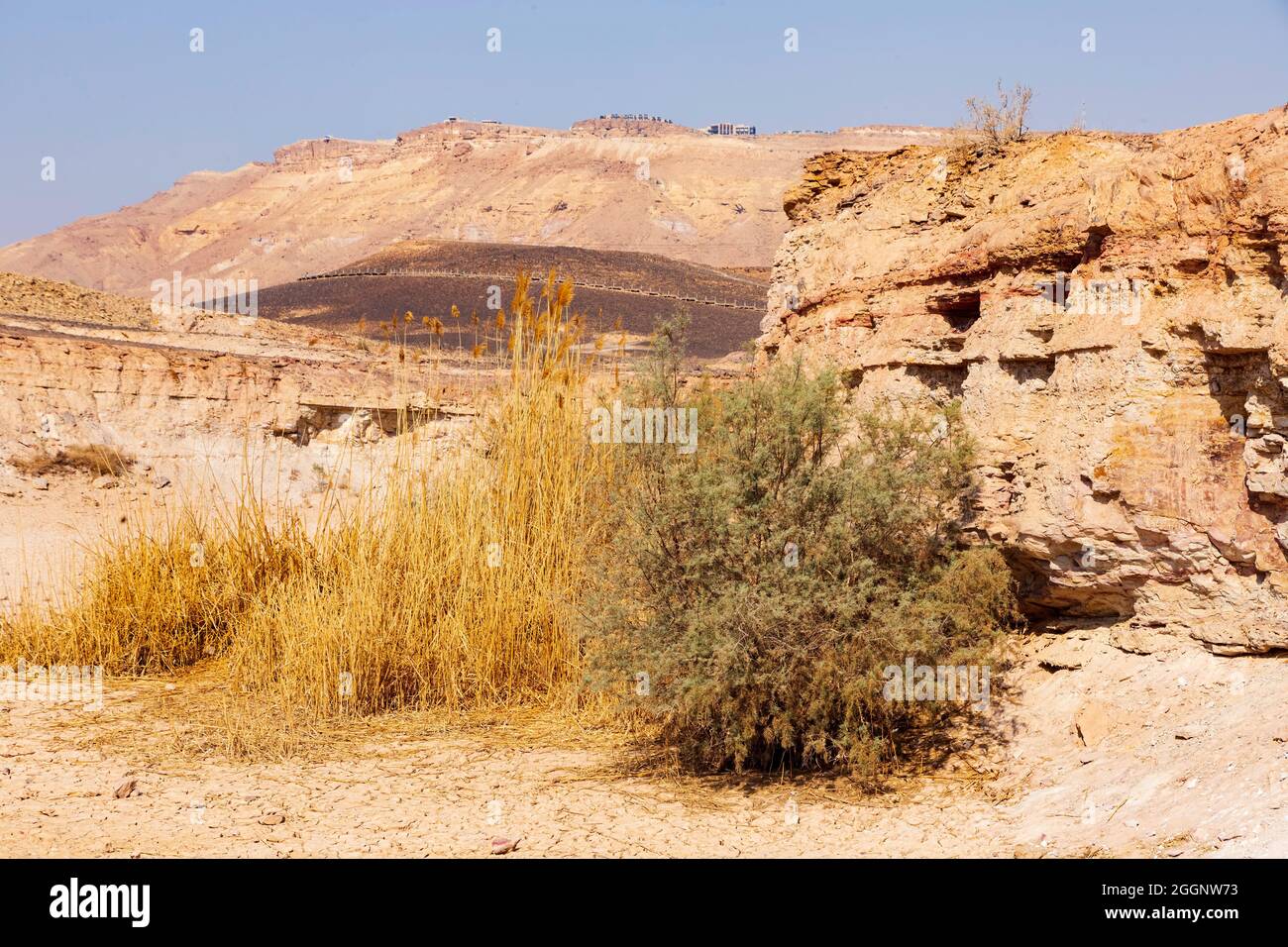 Formazioni geologiche nel cratere di Ramon. Il deserto del Negev. Israele Foto Stock