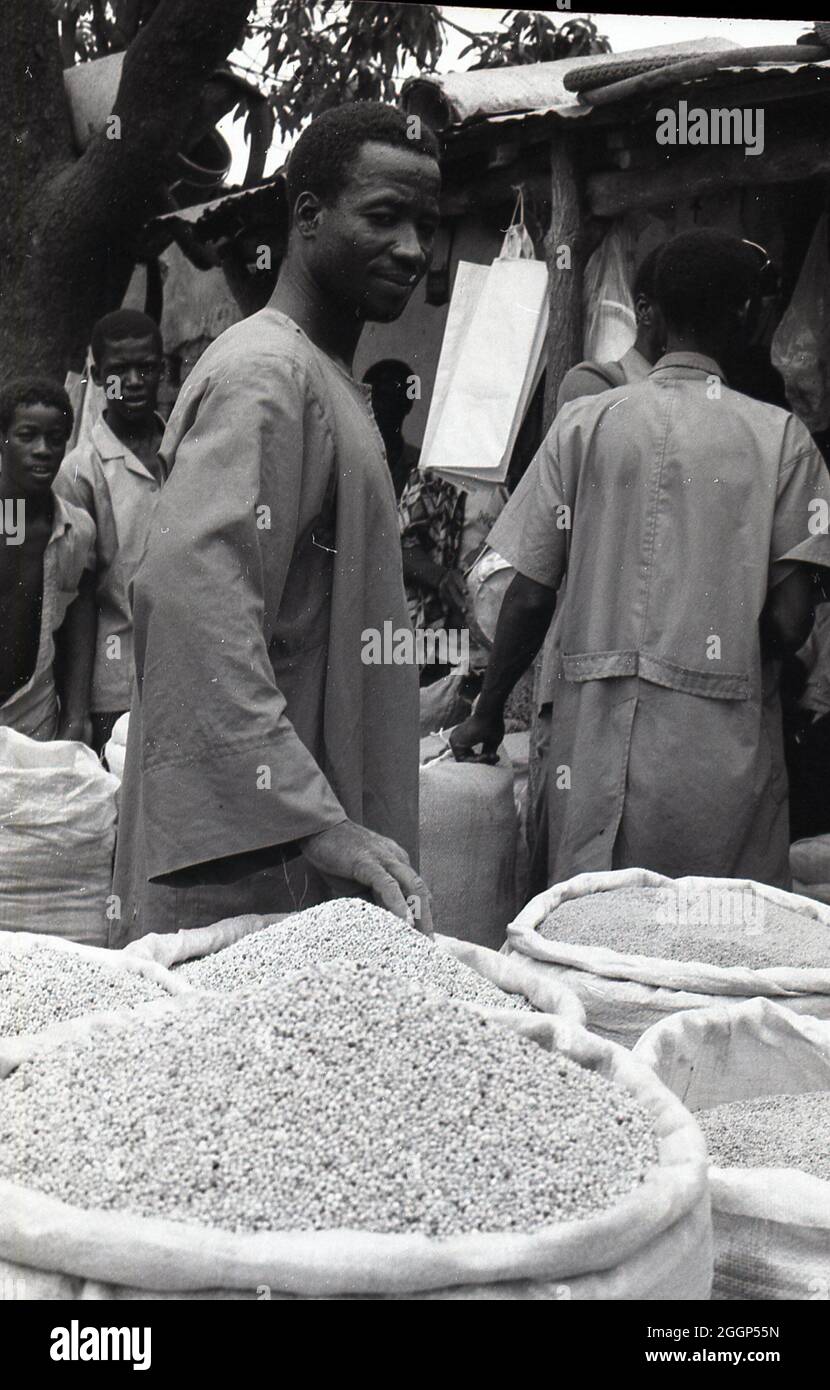 L'uomo osservando il grano in sacchi. Foto Stock