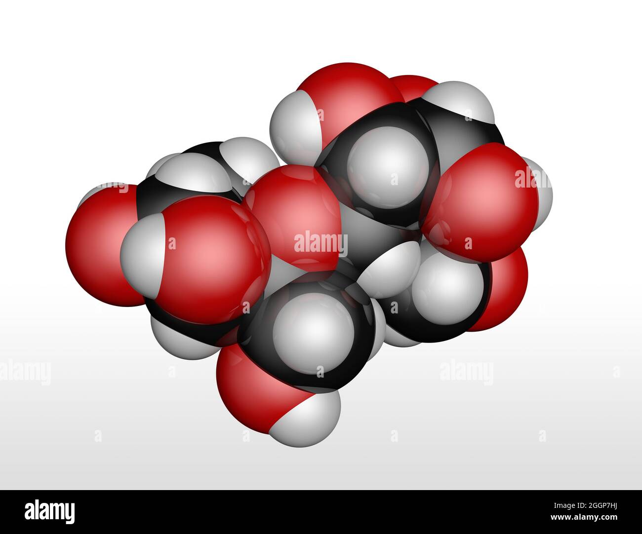 Molecola di zucchero di saccarosio. Foto Stock