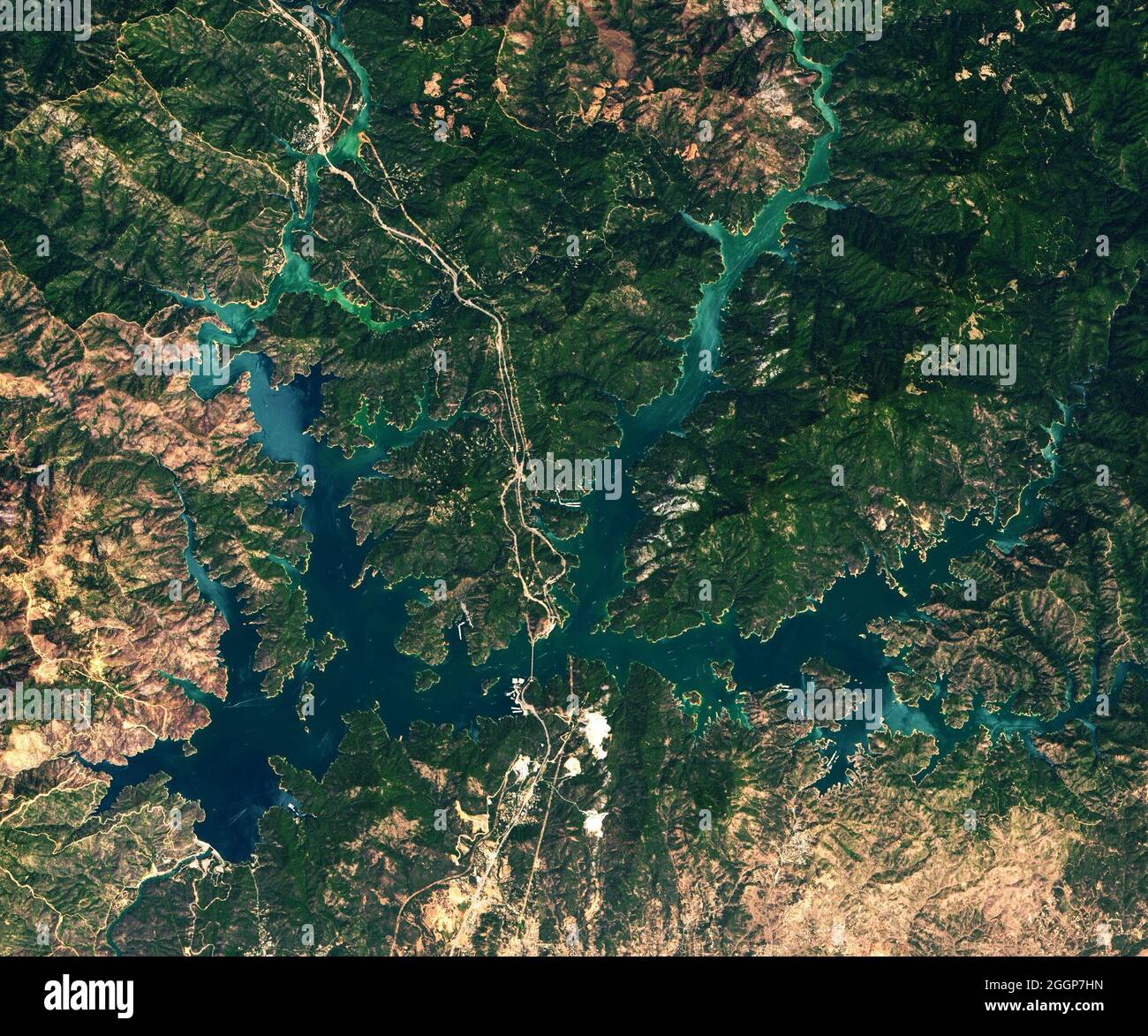 Questa immagine del lago Shasta della California è stata catturata dalla Operational Land Imager (oli) su Landsat 8 il 13 luglio 2019. Foto Stock