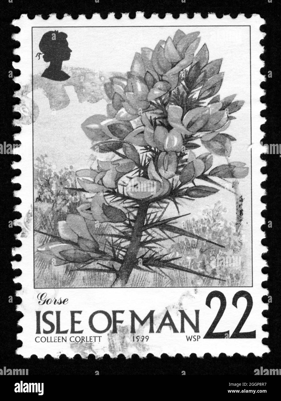Stampa di francobolli nell'isola di Man, fiori Foto stock - Alamy