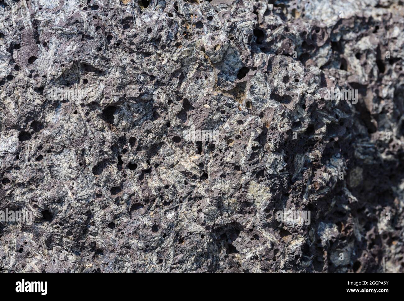Rocce porfiriche ignee con grandi cristalli di feldspare. Oregon, Stati Uniti. Foto Stock
