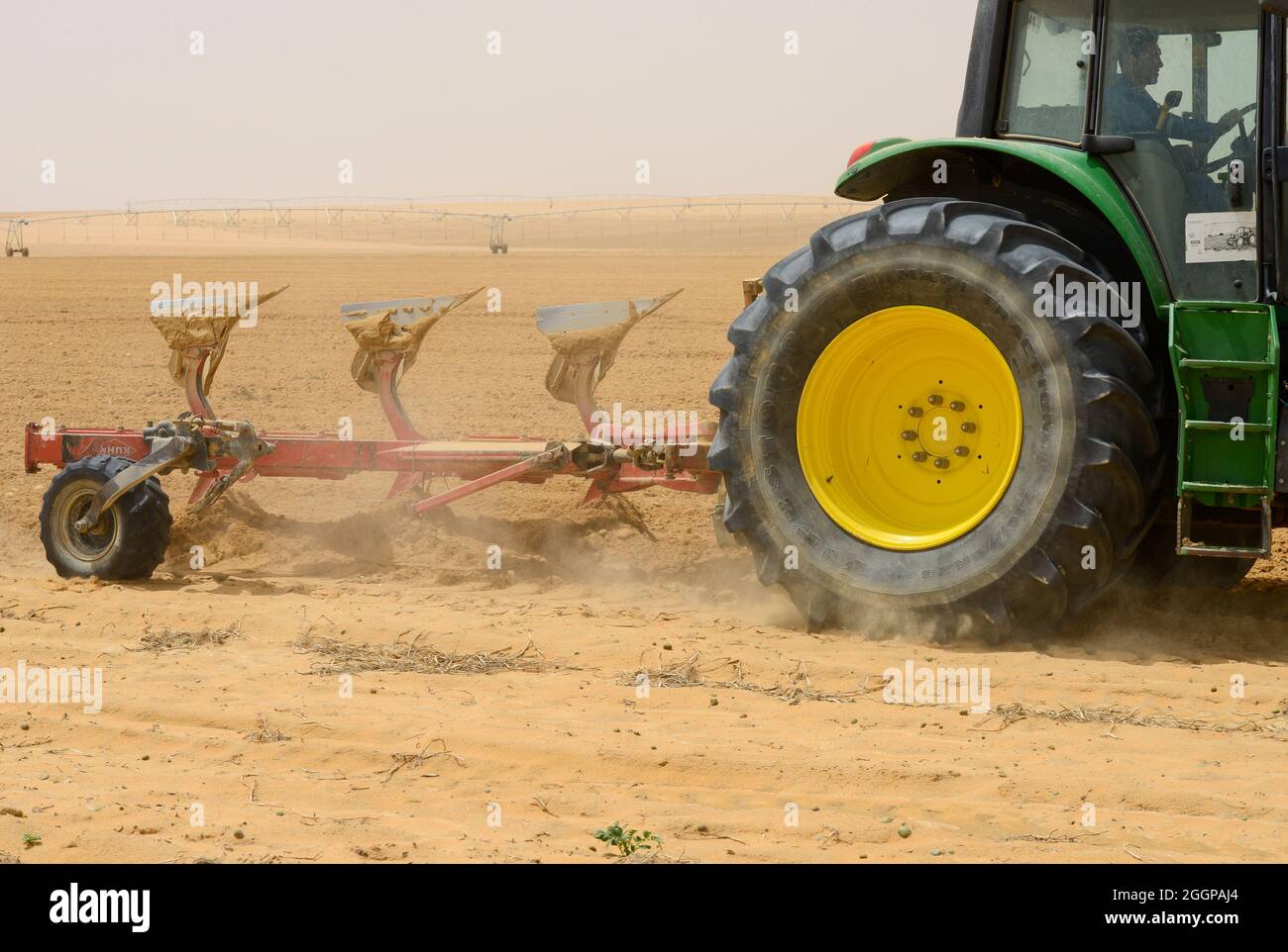 EGITTO, Farafra, coltivazione di patate nel deserto, aratura di campi con trattore, irrigazione a perno con acque sotterranee fossili provenienti dalla falda acquifera di arenaria nubiana che viene pompata da pozzi profondi 1000 metri / AEGYPTEN, Farafra, United Farms, Kartoffelanbau in der Wueste, Pfluegen eines Feldes, Die kreisrunden Felder werden mit pivot Kreisbewaesserungsanlagen mit fossilem Grundwasser des Nubischer Sandstein-aquifer aus 1000 Meter tiefen Brunnen bewaessert Foto Stock