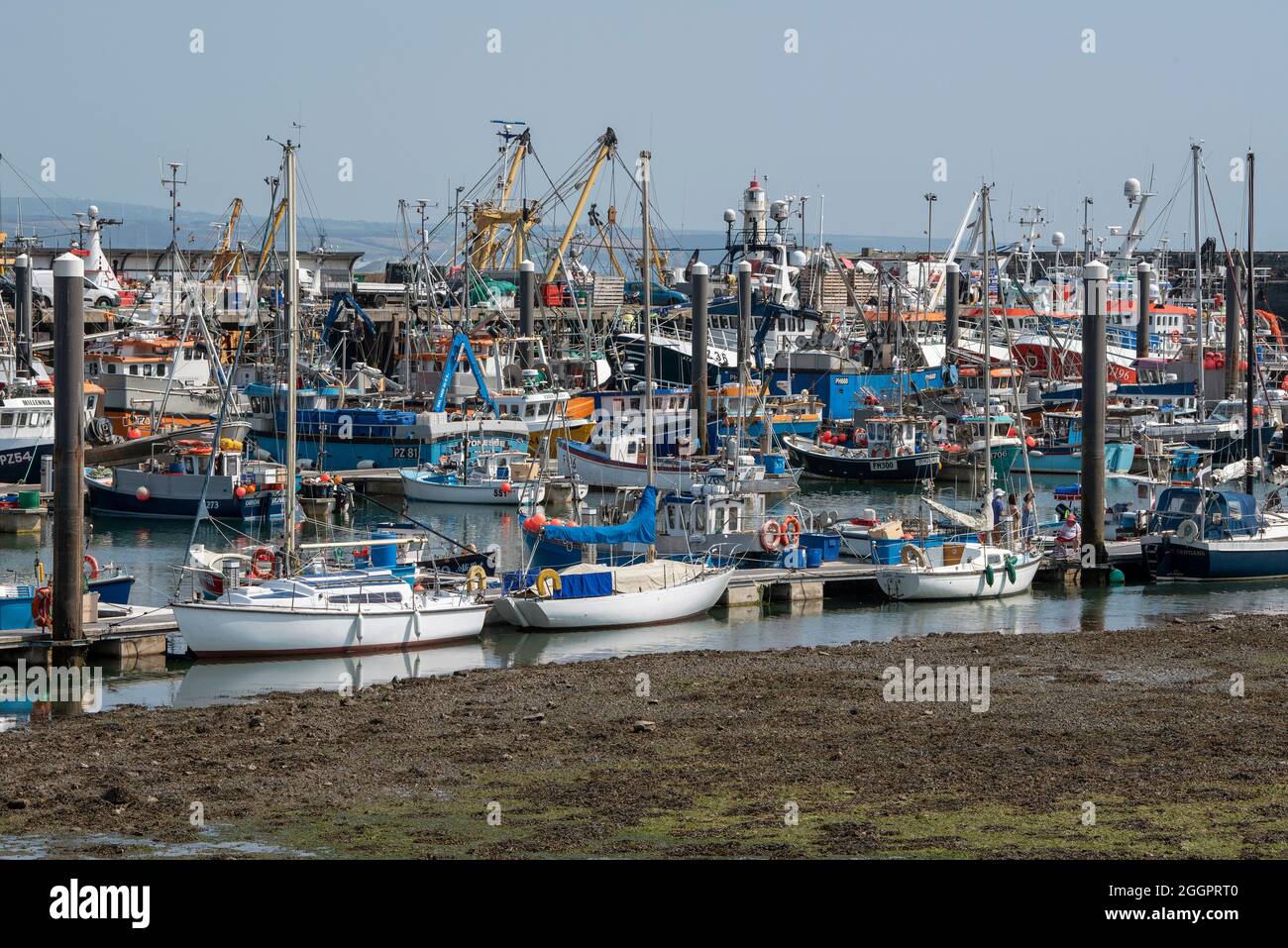 Newlyn, Cornovaglia, Inghilterra, Regno Unito. 2021, flotta da pesca nel porto di Newlyn una vista di grandi e piccole imbarcazioni da pesca e imbarcazioni da diporto. Foto Stock