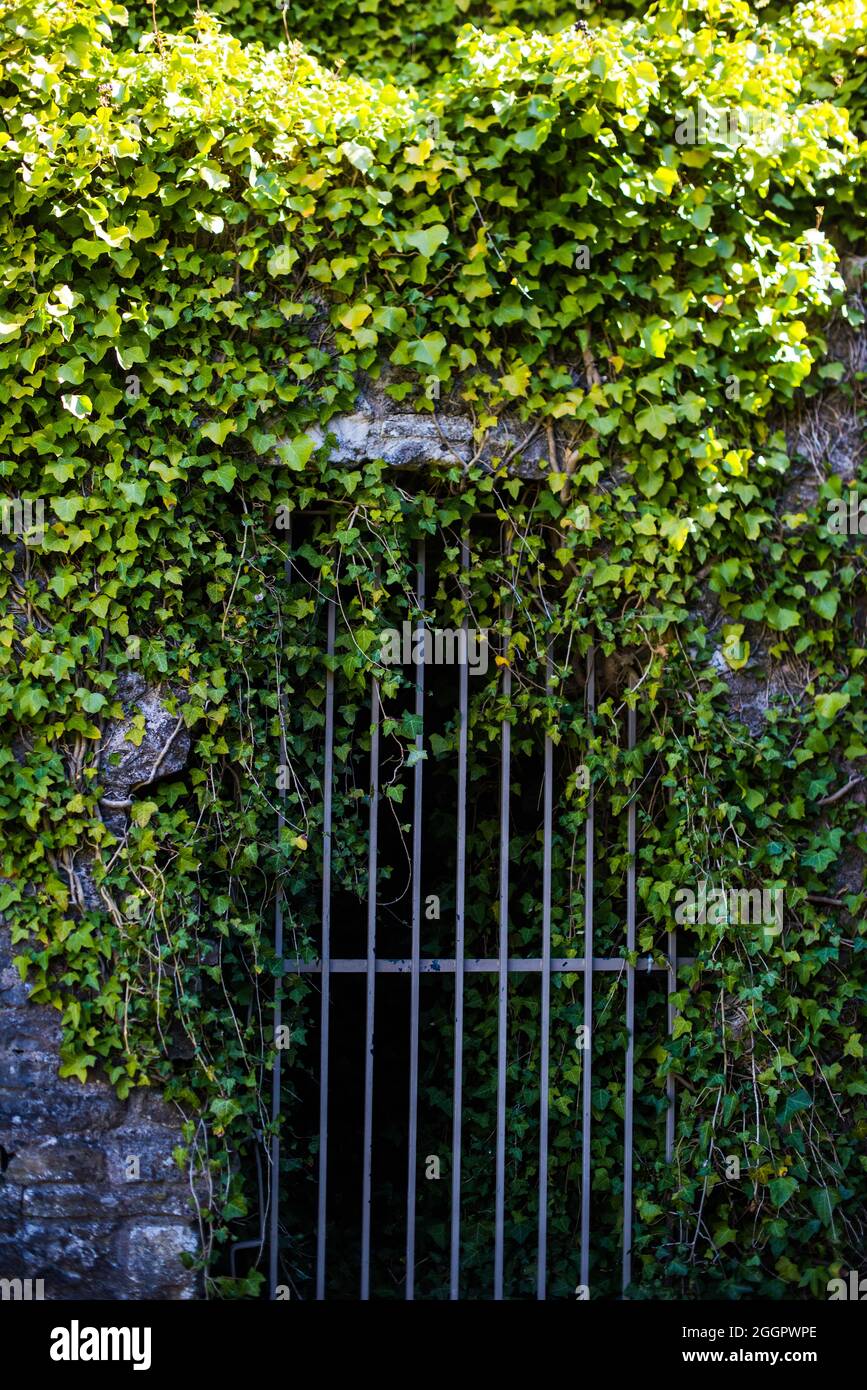 Chepstow Castle, Galles, aprile 2021. Foto Stock