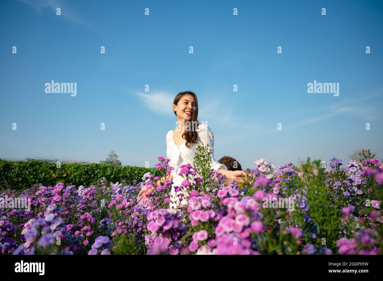 Bella giovane donna asiatica in abito bianco godendo margaret fiore in giardino su soleggiato Foto Stock