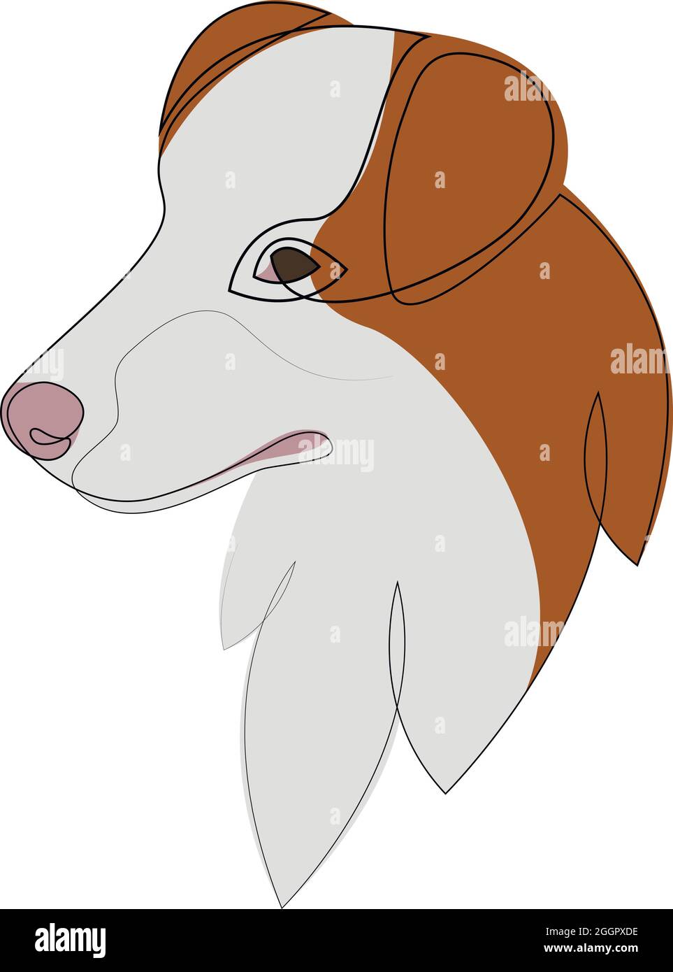 Vettore australiano Shepherd Dog ritratto. Linea continua. Disegno della linea di innesto Illustrazione Vettoriale