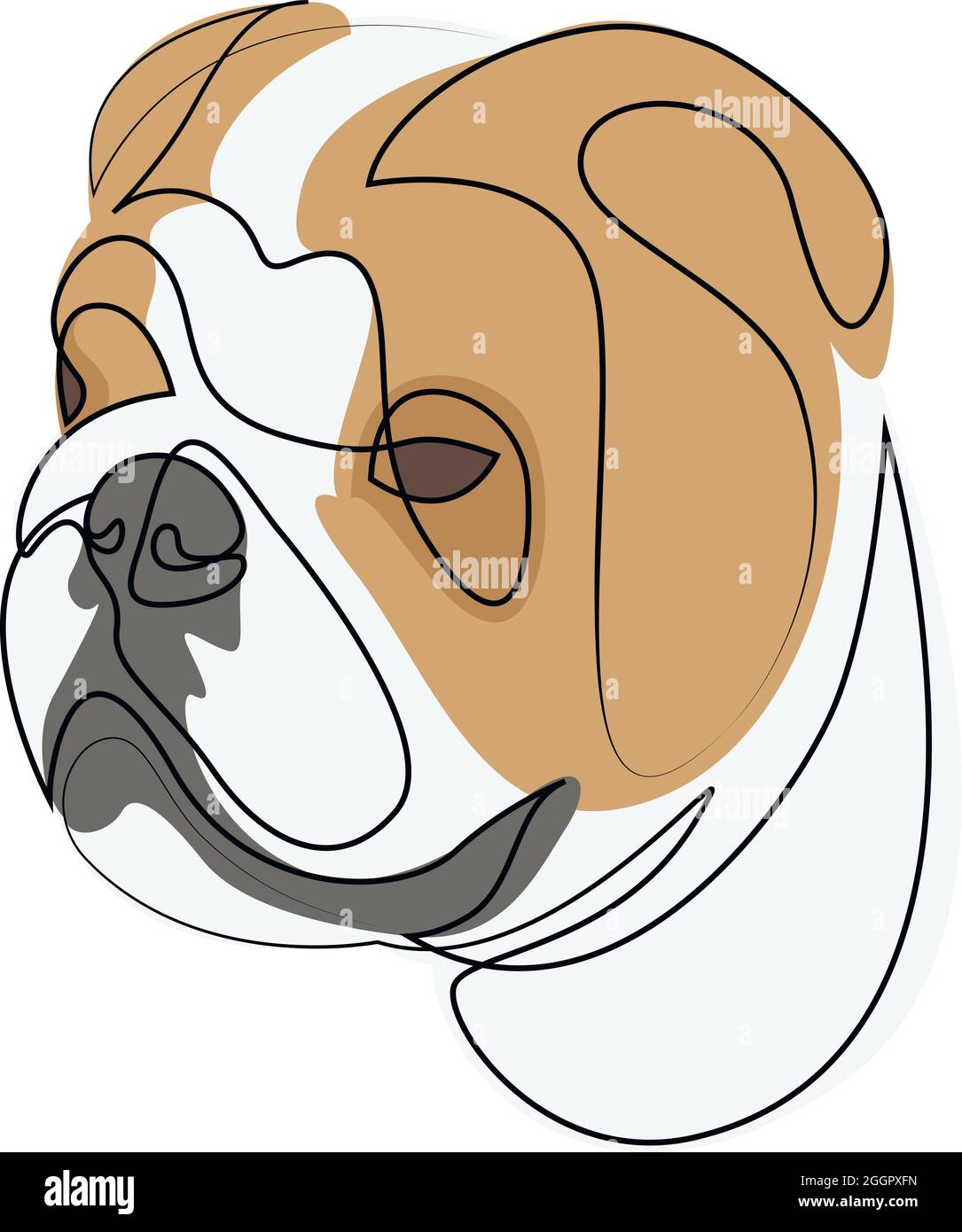 Inglese Bulldog vettore Dog ritratto. Linea continua. Disegno della linea di innesto Illustrazione Vettoriale