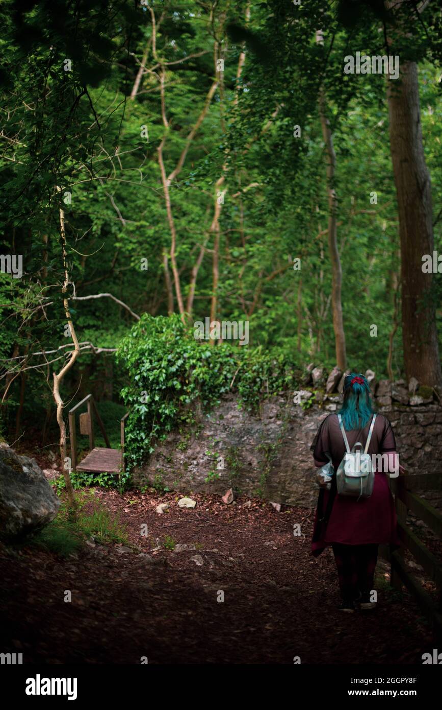 Symonds Yat, Forest of Dean, Gloucestershire Foto Stock