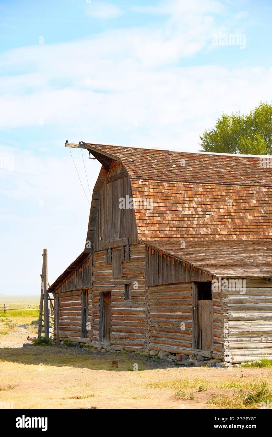 Granaio di legno nel distretto storico di Mormon Row nel Grand Teton National Park, Stati Uniti Foto Stock