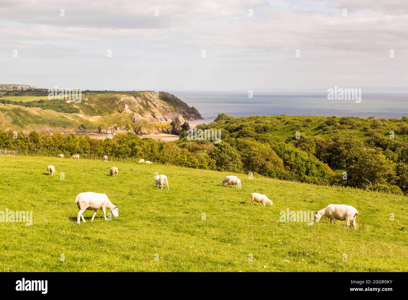 Three Cliffs Bay, Swansea, Galles, Regno Unito. Foto Stock
