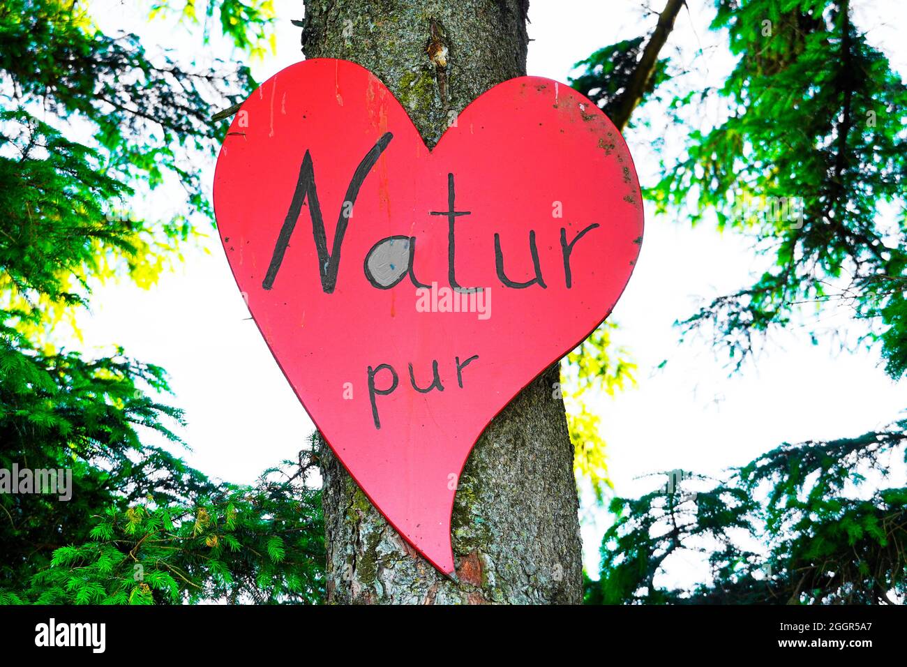 Scudo rosso a forma di cuore. Natura pura in tedesco. Foto Stock