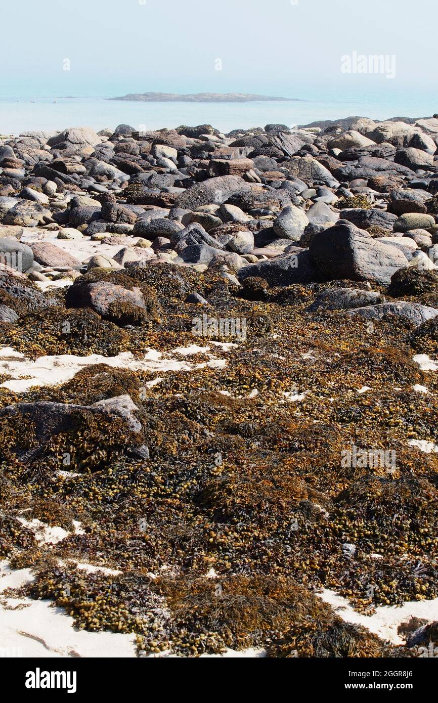Una vista bassa in basso da una spiaggia con pietre e alghe in primo piano, guardando verso il mare in lontananza nella Scozia nord-occidentale. Staycation Foto Stock