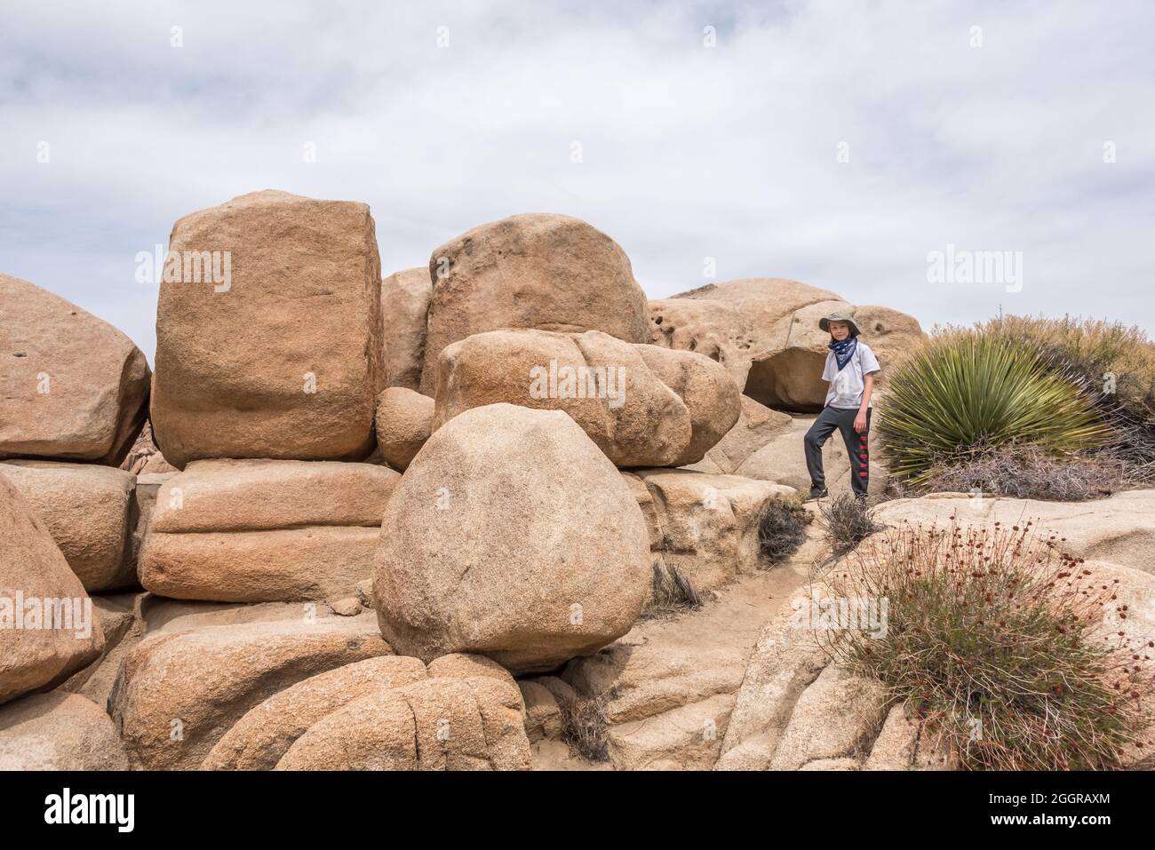 I bambini possono divertirsi con il bouldering nella Hidden Valley al Joshua Tree National Park. Foto Stock