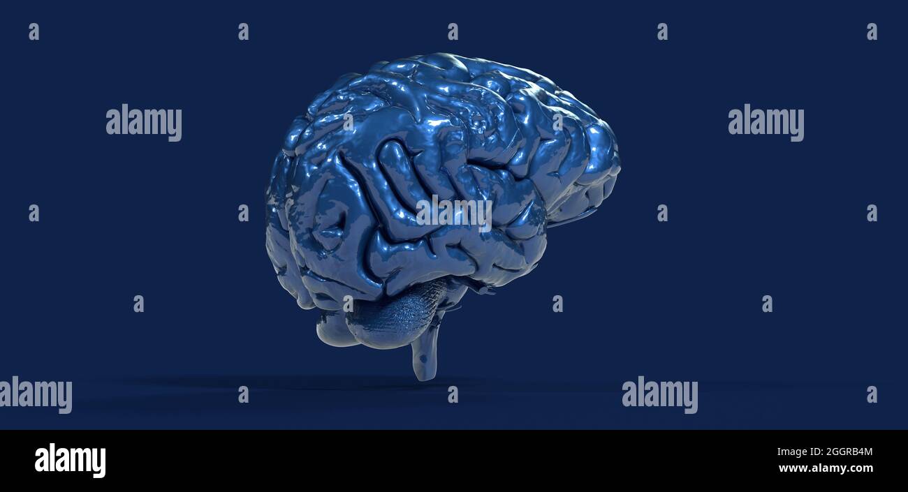 Illustrazione del cervello 3D poligonale colorata su BG Foto Stock