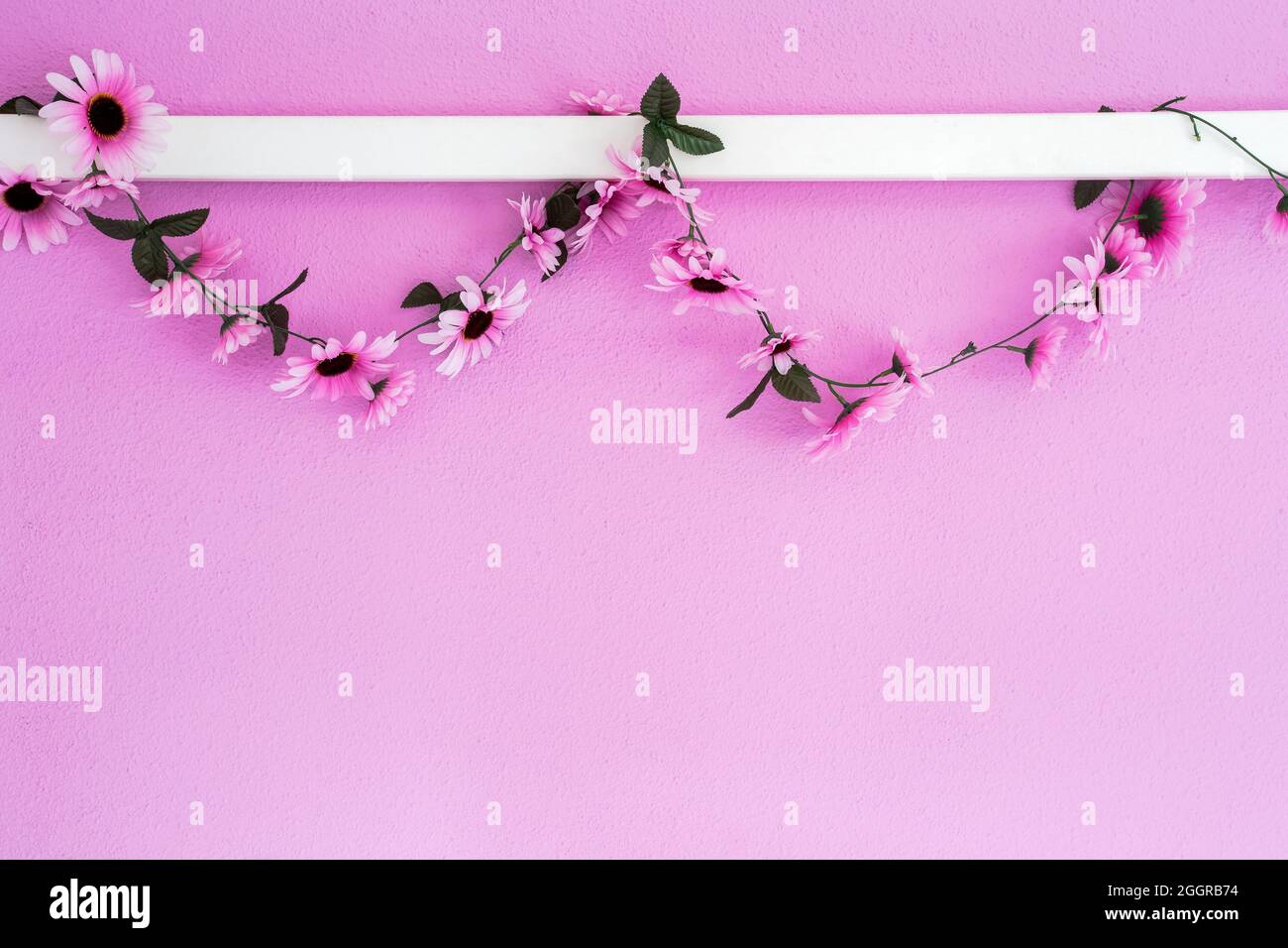 Allegro, colorato rosa, margherite viola garland appeso su sfondo rosa parete texture. Bello design moderno con spazio copia Foto Stock
