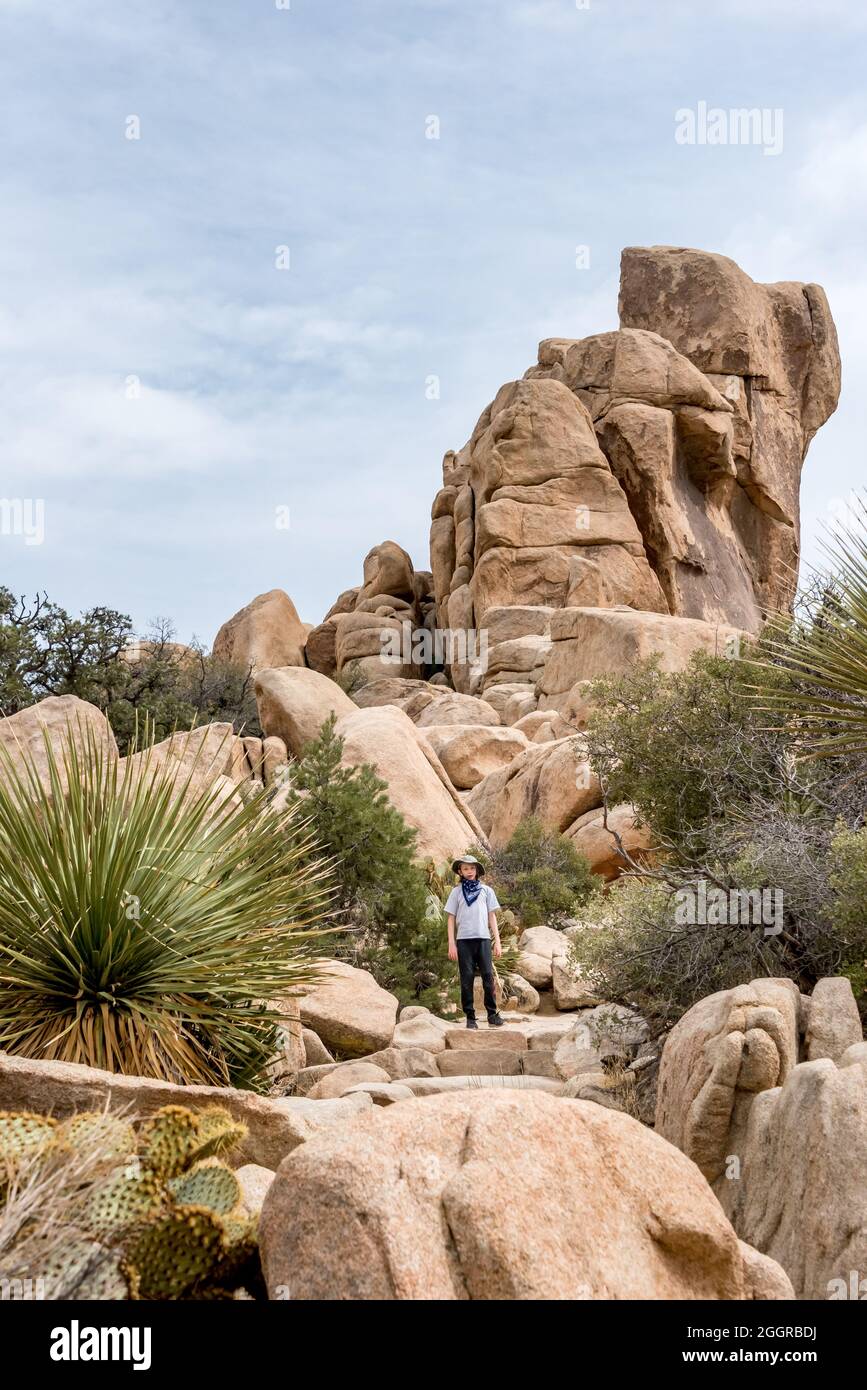 Un giovane ragazzo si erge tra il terreno roccioso, pinyon pini, e altre flora trovati nella Valle nascosta nel Parco Nazionale di Joshua Tree. Foto Stock