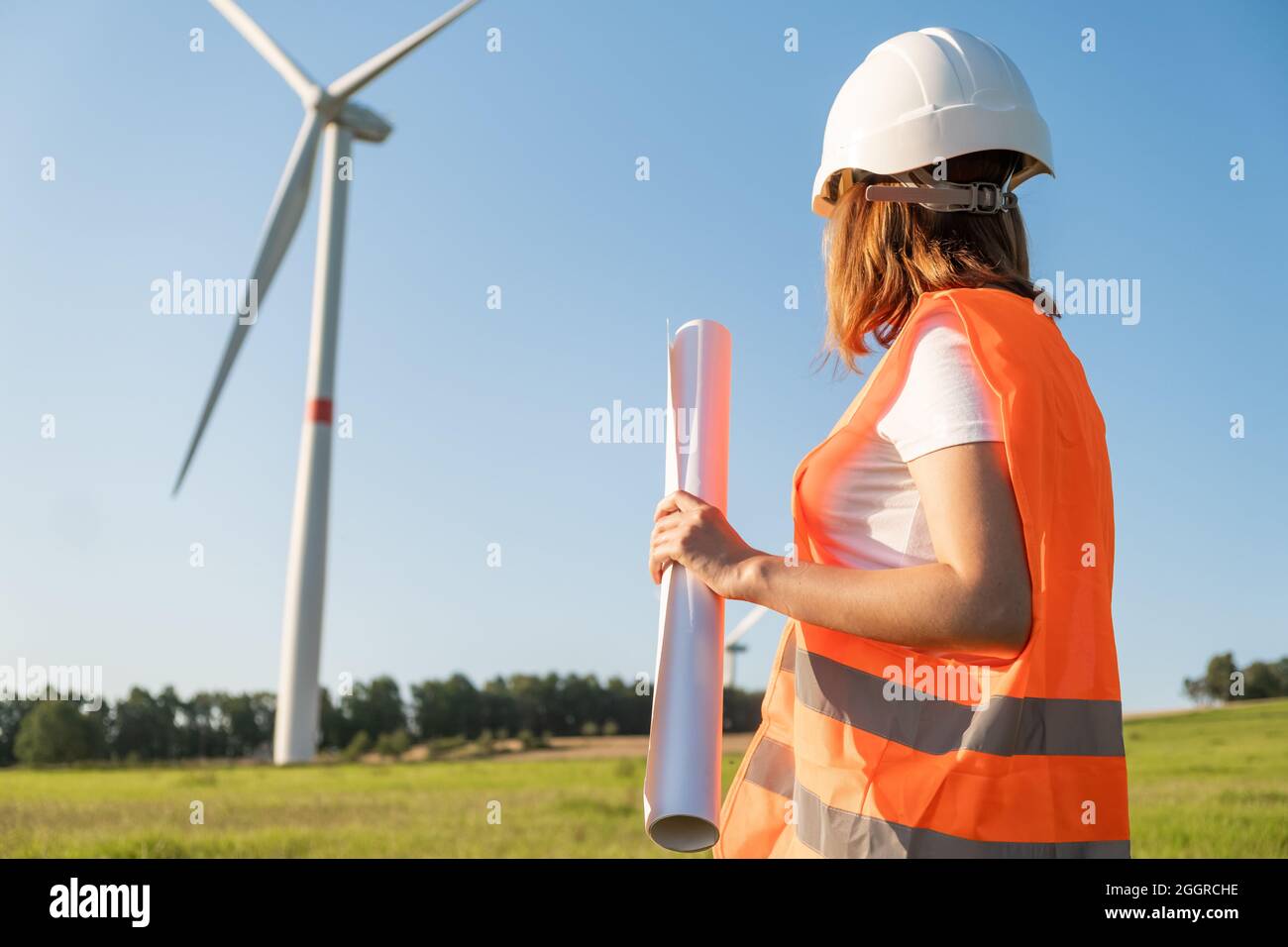 Ingegnere in elmetto e giubbotto di protezione detiene un progetto di progetto per la costruzione di turbine eoliche nel campo sullo sfondo di mulini a vento Foto Stock