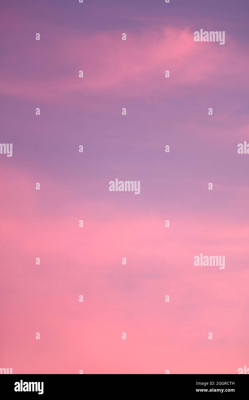 Splendido cielo nuvoloso rosa e viola sfumato con luce del tramonto Foto Stock