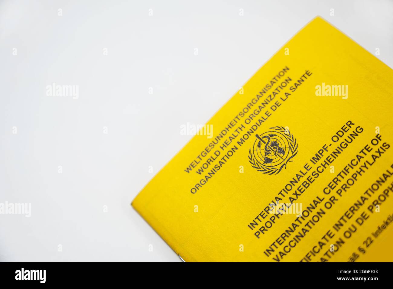 Parte del certificato internazionale giallo di vaccinazione libro dell'OMS, Organizzazione Mondiale della Sanità sfondo grigio chiaro con spazio copia, selezionato Foto Stock