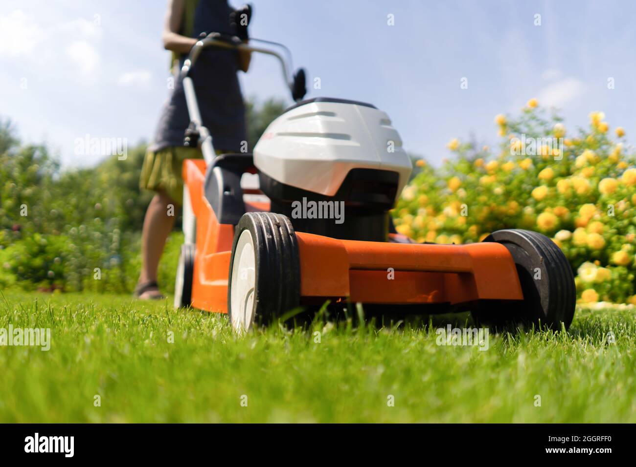 Una donna giardiniere sta rifilando l'erba con il tagliaerba, vista dal basso Foto Stock