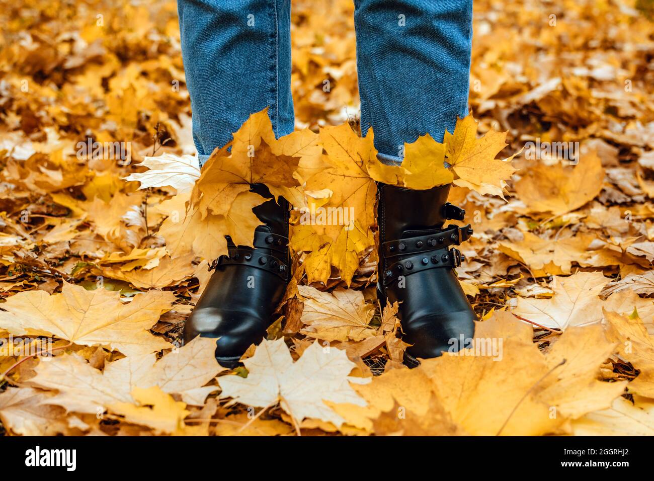 Buon autunno, ciao autunno. Gambe femminili in stivali sulle foglie  d'autunno. Scarpe autunnali. Gambe femminili in stivali marroni con foglie  di acero giallo Foto stock - Alamy