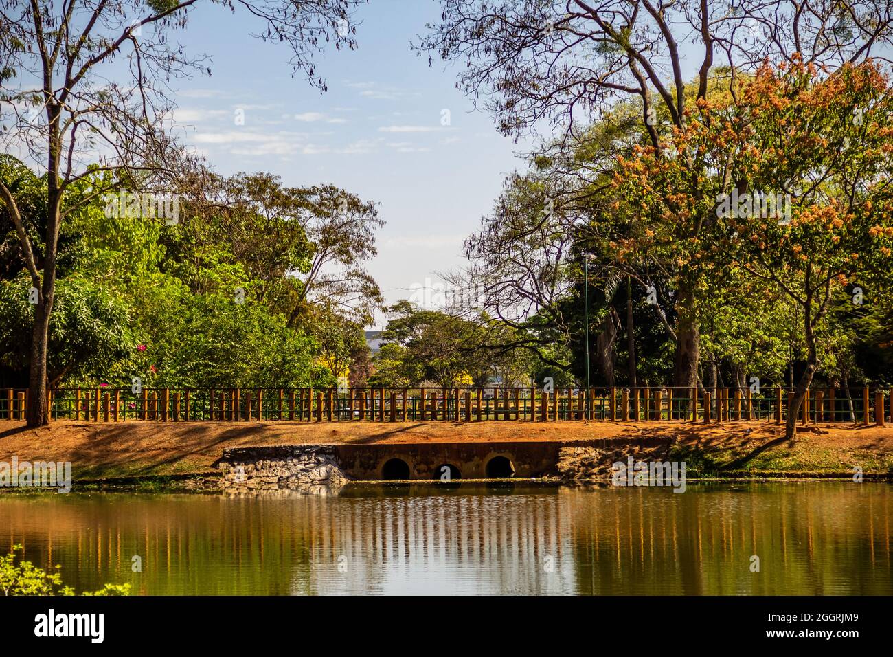 Particolare del lago di rose parco nella città di Goiânia. Il parco zoo della città. Foto Stock